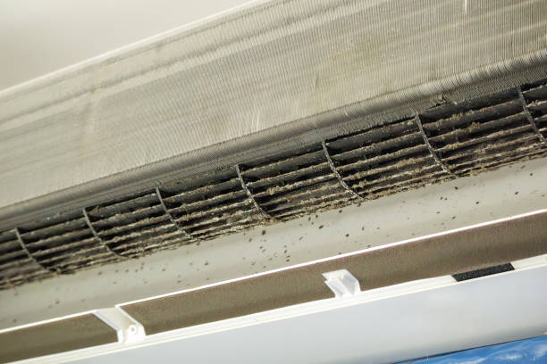 Best Air Vent Cleaning Services  in Red Lake, MN