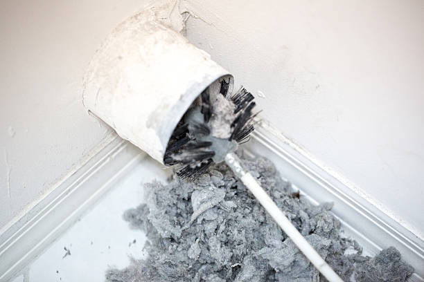 Best Local Air Duct Cleaning Services  in Red Lake, MN